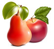 Photo-realistic vector. Ripe red apple and pear.