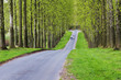country road