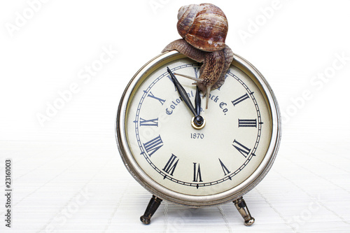 Wecker mit Schnecke Wecker mit Schnecke