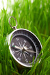 compass in green grass compass in green grass