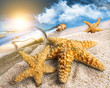 Message in a bottle buried in sand Message in a bottle buried in sand