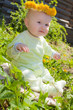 The baby of 7-8 months sits in a grass The baby of 7-8 months sits in a grass