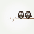 simple card illustration of two funny cartoon owls on a branch simple card illustration of two funny cartoon owls on a branch