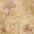 Photos : Fond Feuillage et Feuilles Ginkgo en Beige - Illustration