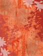 Image : Fond Bordure Plantes et Fleurs en Orange