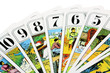 cartes de tarot sur fond blanc