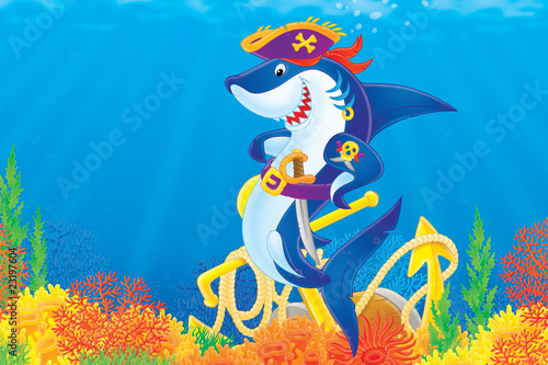 Illustration: Shark Pirate Shark Pirate