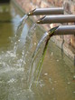 Brunnen Brunnen