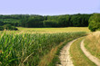 ländliche Gegend in Brandenburg ländliche Gegend in Brandenburg