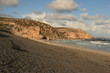 Beach with a seal