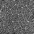 Vine leaf seamless pattern