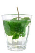 cup of fresh mint tea