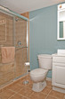 Bathroom Toilet and Shower Stall Bathroom Toilet and Shower Stall