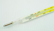 Thermometer 1