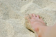 Foot