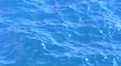 Agua