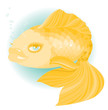 Magic golden fish