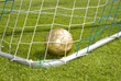 Golden Goal