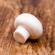 fresh champignon