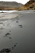 Footprints on a Black Sand Beach close