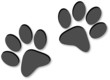 Paw