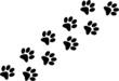 Paw trail