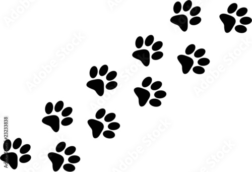 Vector: Paw trail Paw trail