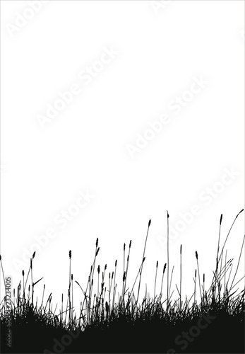 Vector: Gras-01 - sw Gras-01 - sw
