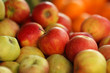 Colorful red and green apples on fruit stand. Shallow DOF.