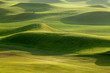 Golf place with nice green Golf place with nice green