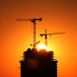 Construction cranes in building at sunrise