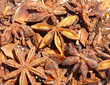 aniseed