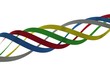 Colorful Ribbons