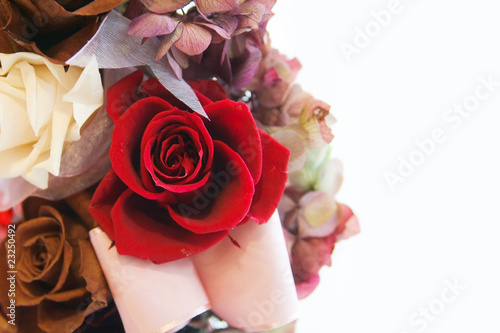 Photo: 薔薇の花 薔薇の花