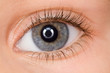 Photo: left blue eye of child with long eyelashes close up left blue eye of child with long eyelashes close up