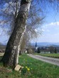 Blick auf den Ahornberger Kirchturm