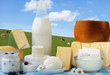 Foodstill with Bio dairy products- cheese and milk Foodstill with Bio dairy products- cheese and milk