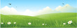 Nature landscape