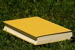 Buch auf der Wiese