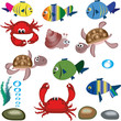 Tropikal sea animals.
