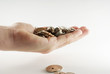 Photo: Handful of coins Handful of coins