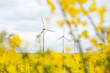 Drei Windräder mit Raps im Vordergrund
