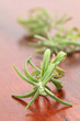 Rosemary