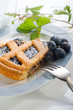 blueberry cake - crostata di mirtilli blueberry cake - crostata di mirtilli