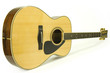 chitarra acustica