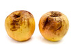 rotten apples isolated on white background
