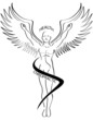 Chiropractic Brush Line Icon