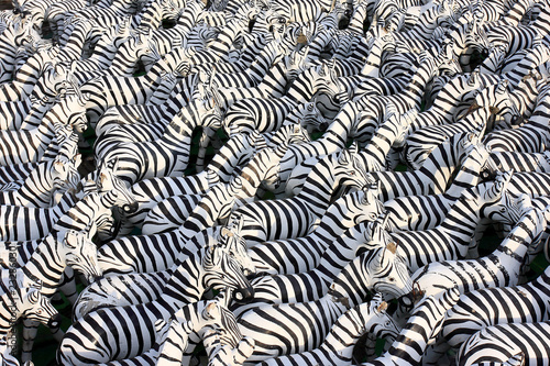 Photo: Zebra sculptures background many Zebra sculptures background many