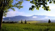Nebligen Morgen durch die Hohe Tatra