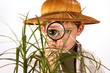 little explorer
